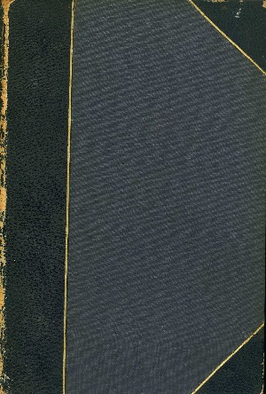 Auerbach , Berthold: Brigitta.